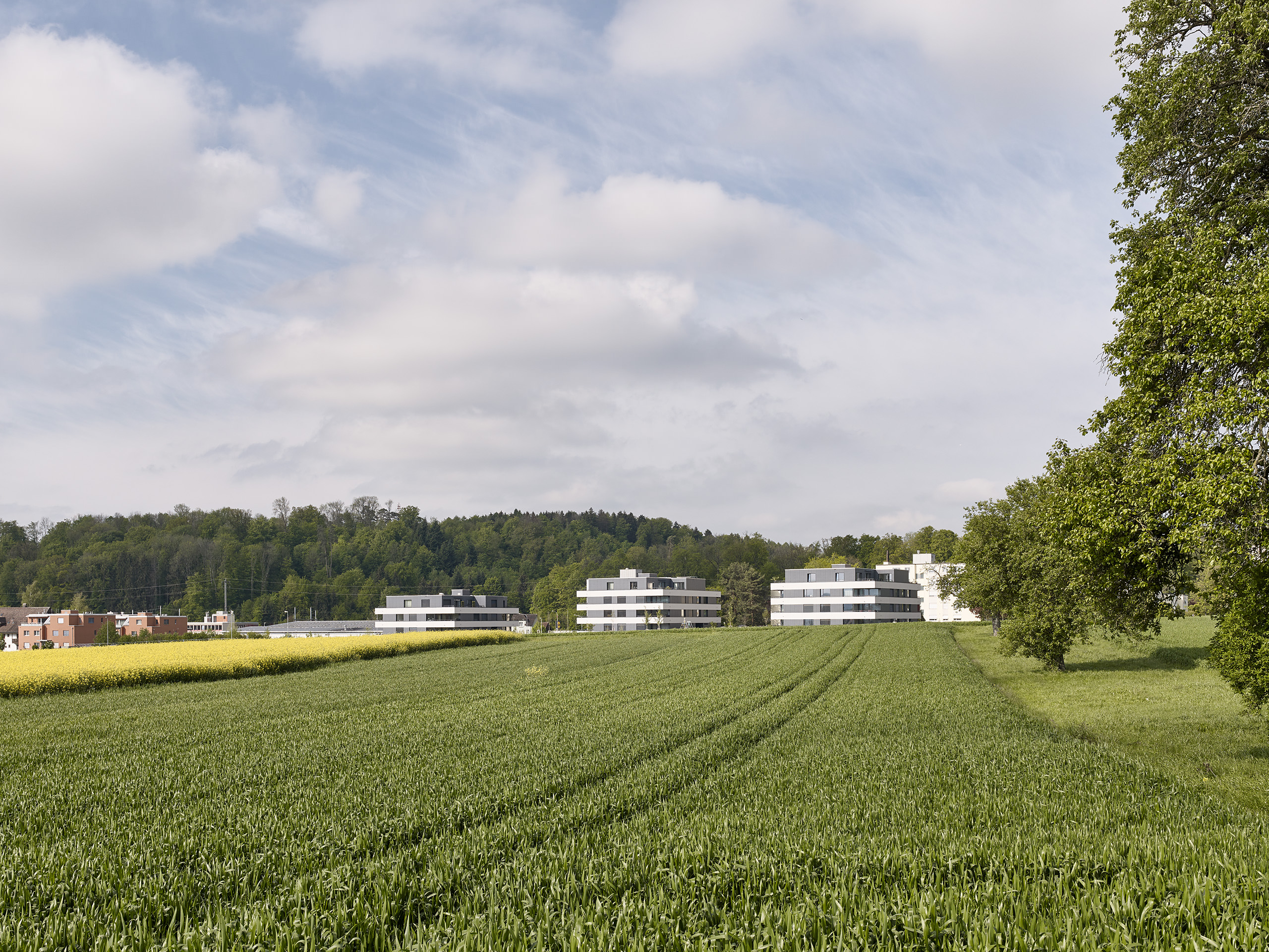 E18686 Alpa 088560 SCREEN